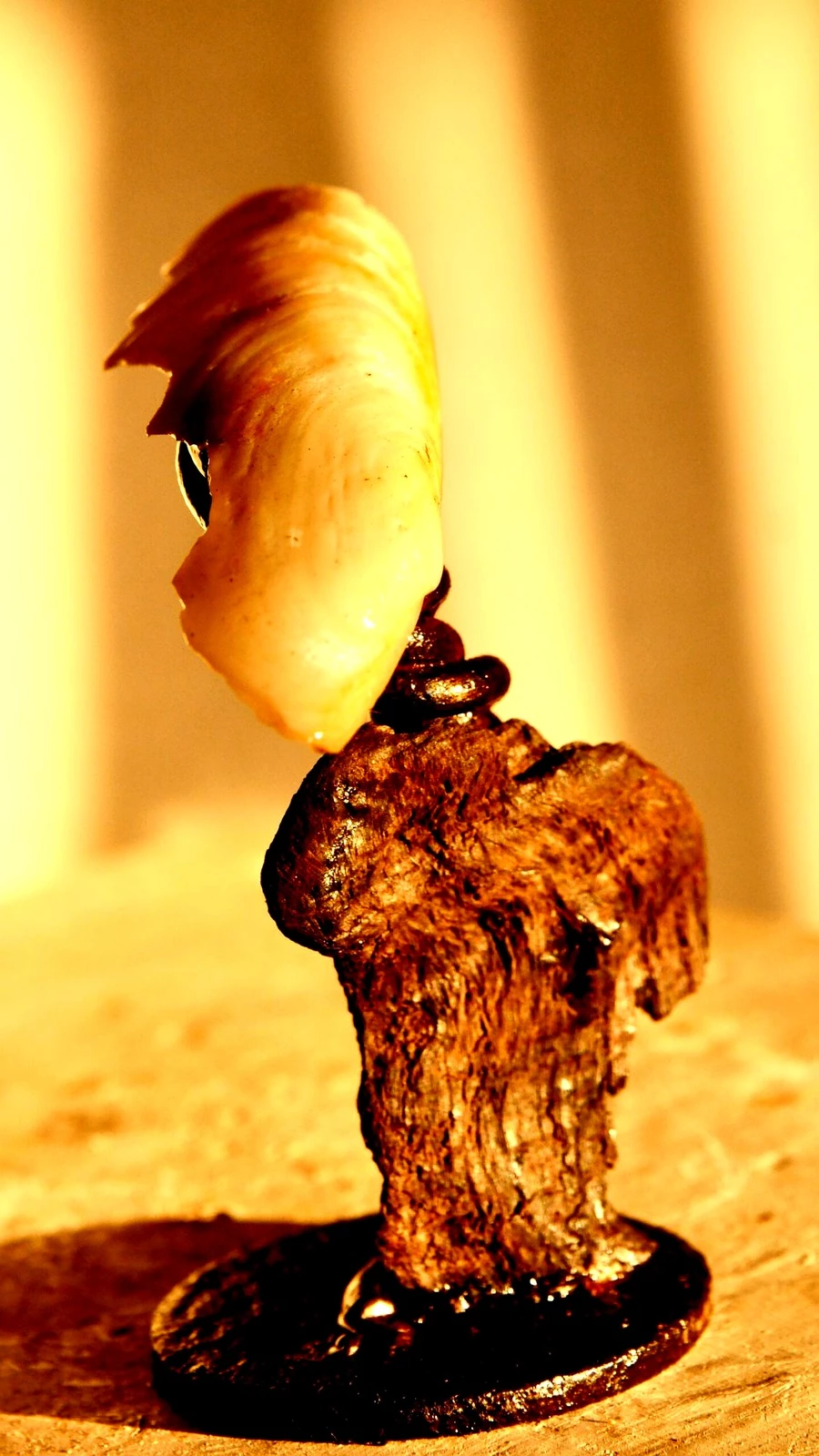 L'Enfant sauvage