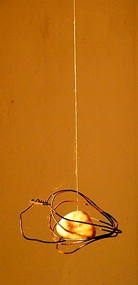 La Cage de verre