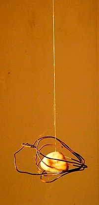 La Cage de verre