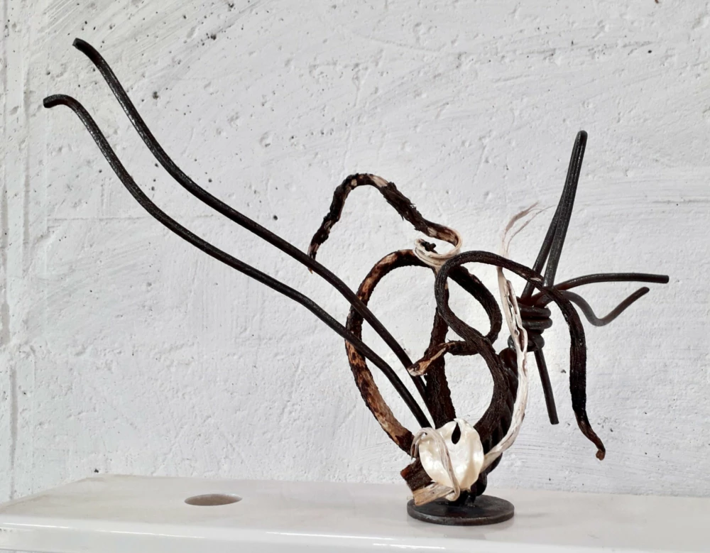 Araignée de fer