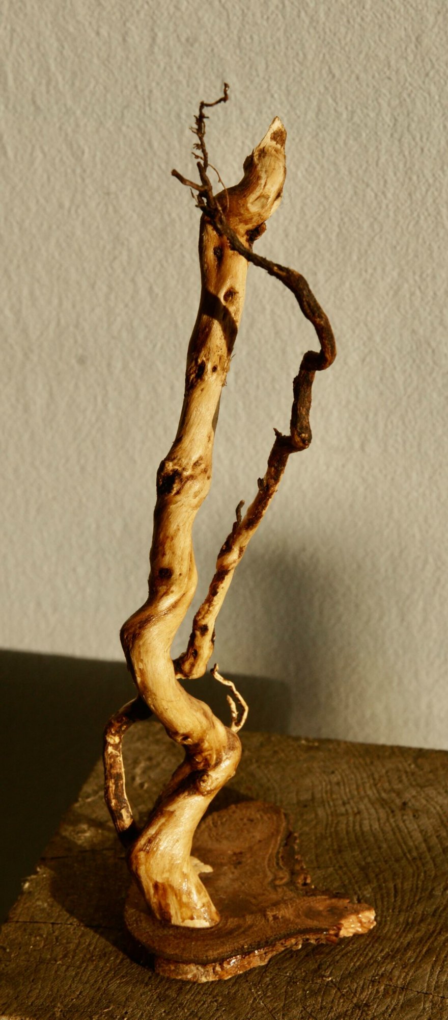 La Danse des Racines