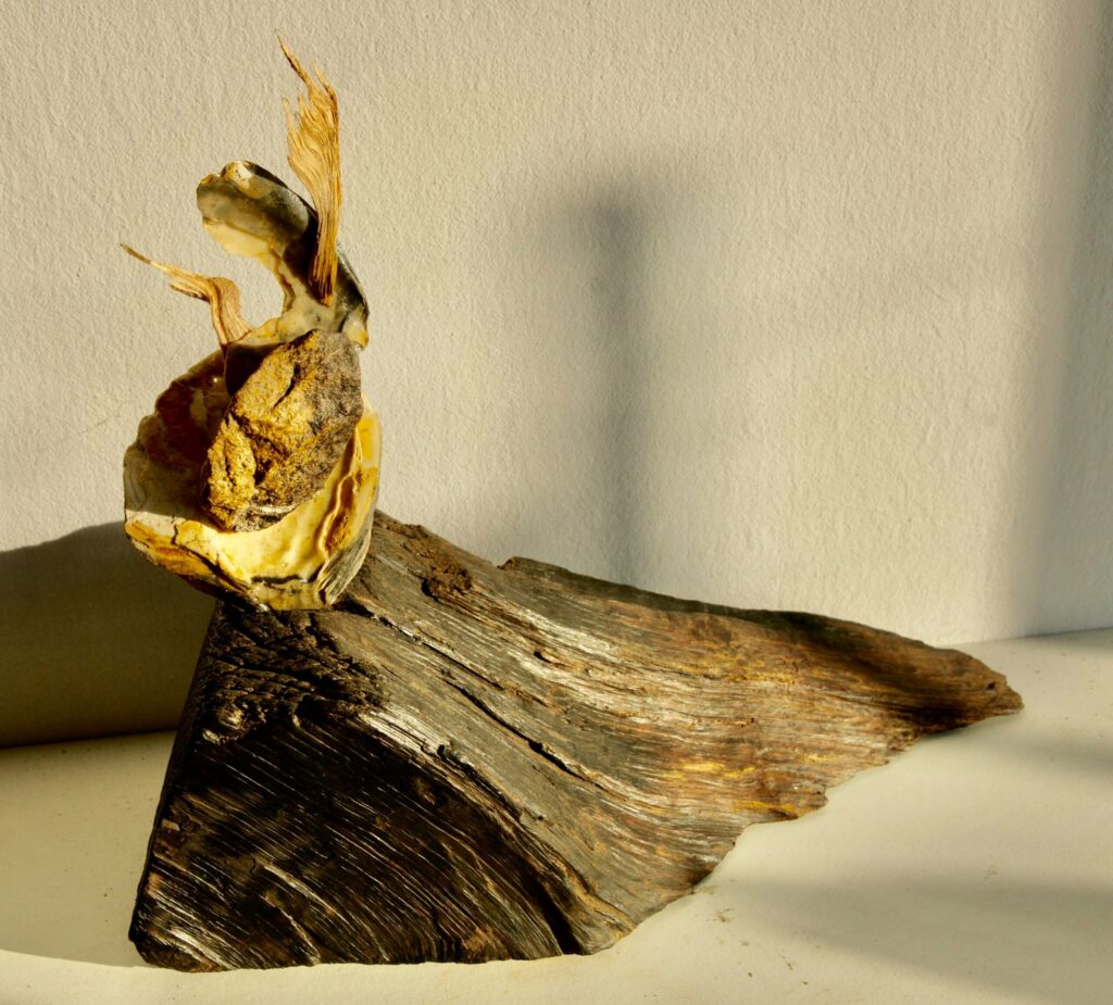 Dsc04637 Scaled 1, Pierre Le Caër