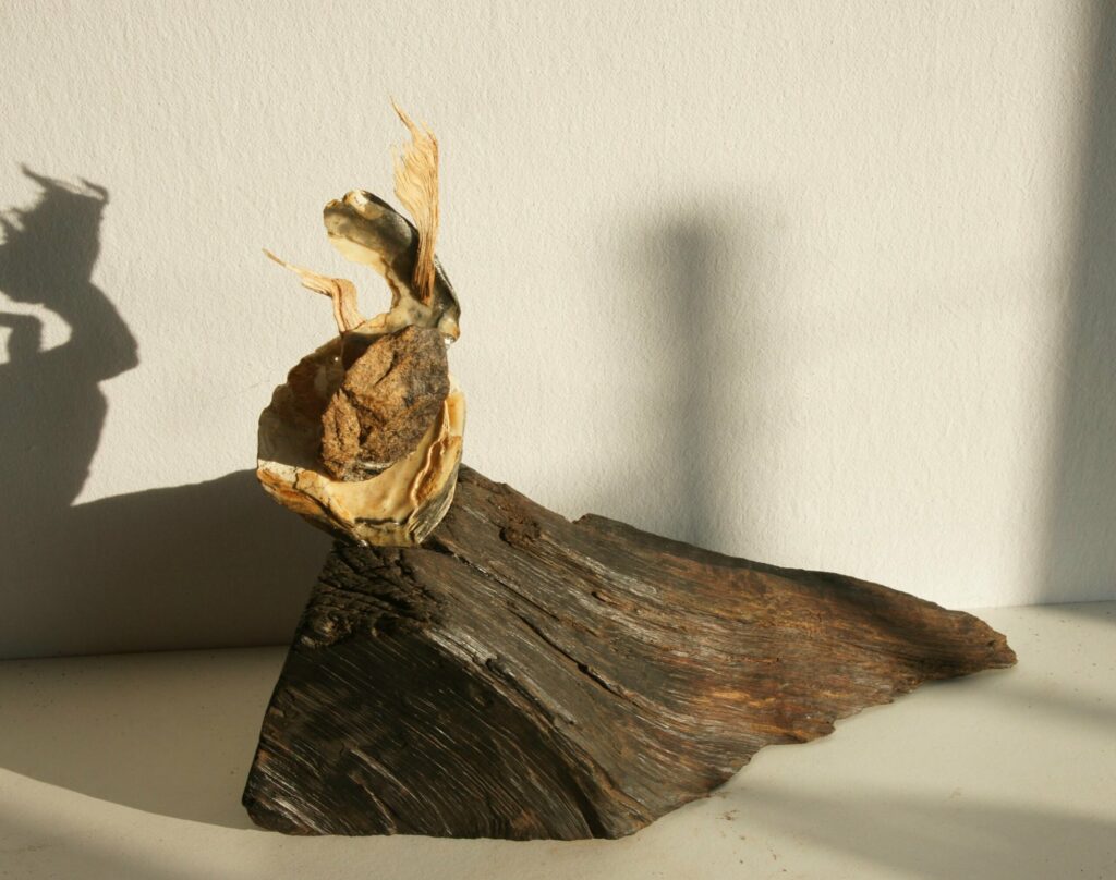 Dsc04638 Scaled 1, Pierre Le Caër