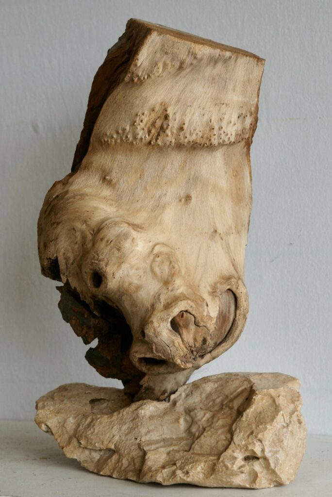 Dsc04800 Scaled 1, Pierre Le Caër